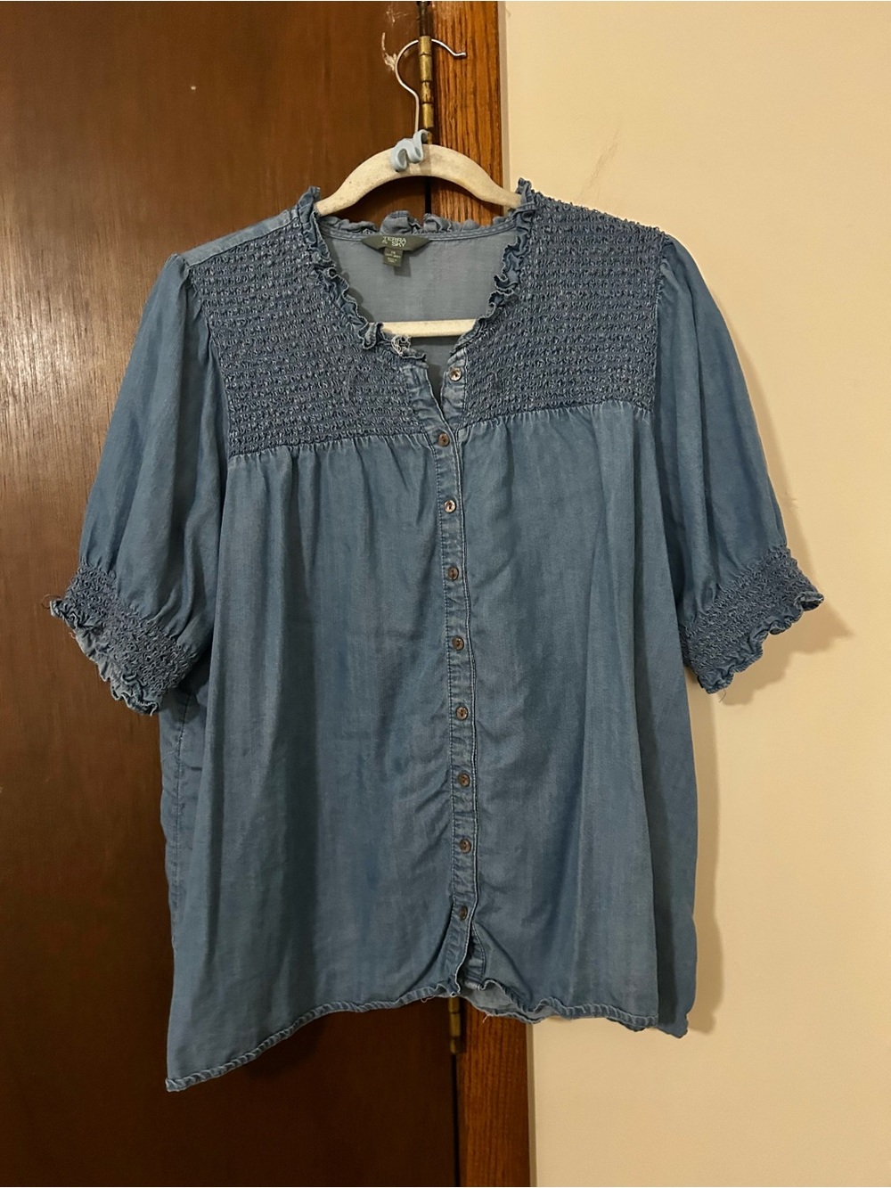 Terra & Sky Blue Smocked Button-Front Chambray Blouse